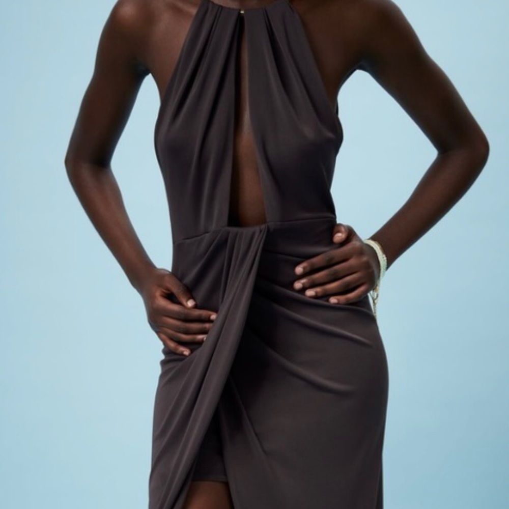 NWT ZARA LIMITED EDITION LONG HALTER DRESS. - Picture 4 of 6
